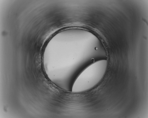 X0000102511364200808080957