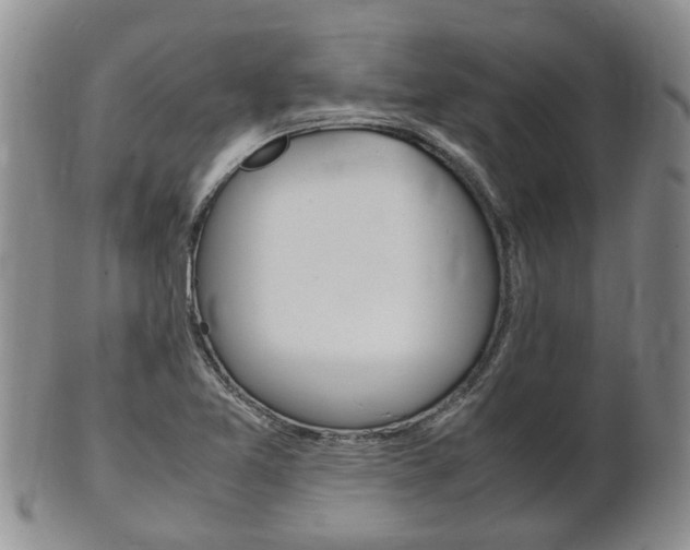 X0000102511365200808080957