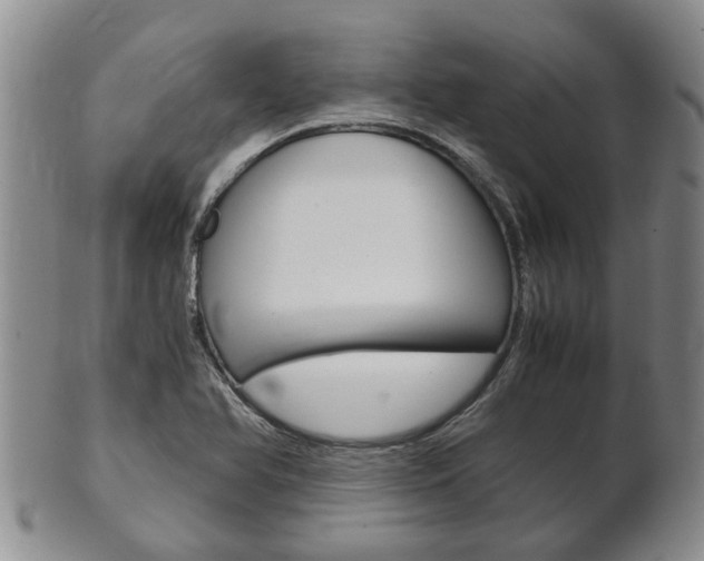 X0000102511366200808080957
