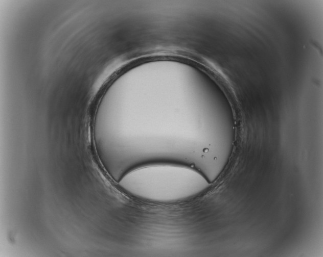 X0000102511368200808080957
