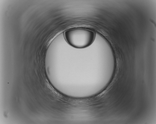 X0000102511369200808080957
