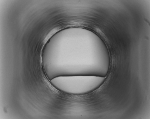 X0000102511370200808080957