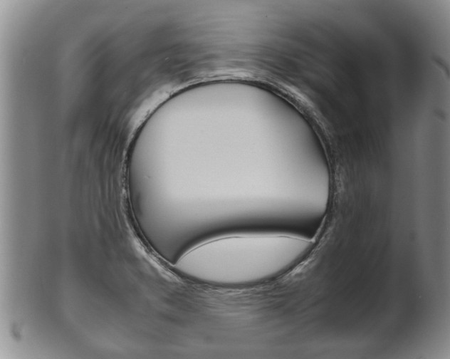 X0000102511373200808080957