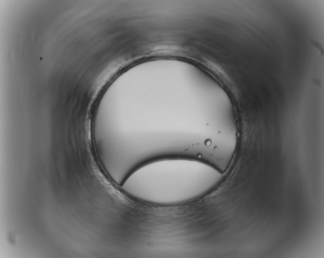 X0000102511376200808080957