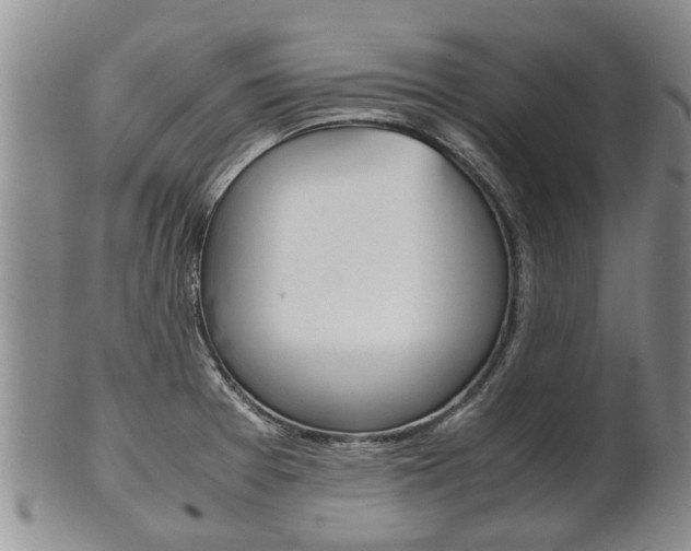 X0000102511377200808080957