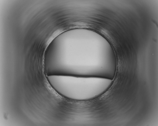 X0000102511378200808080957