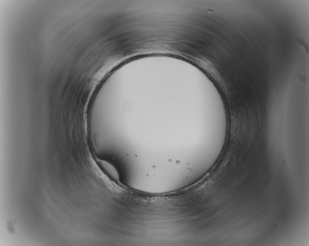 X0000102511380200808080957