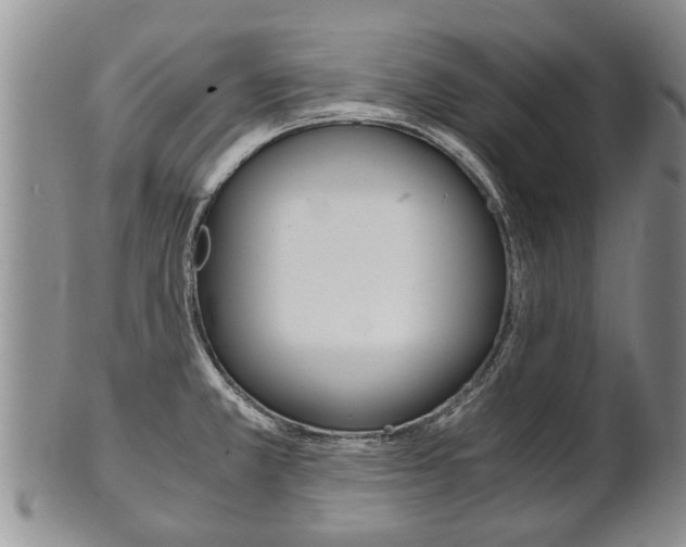 X0000102511381200808080957