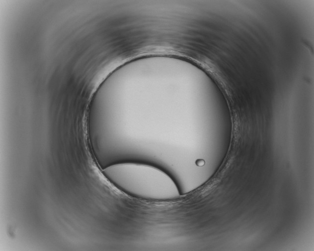 X0000102511382200808080957
