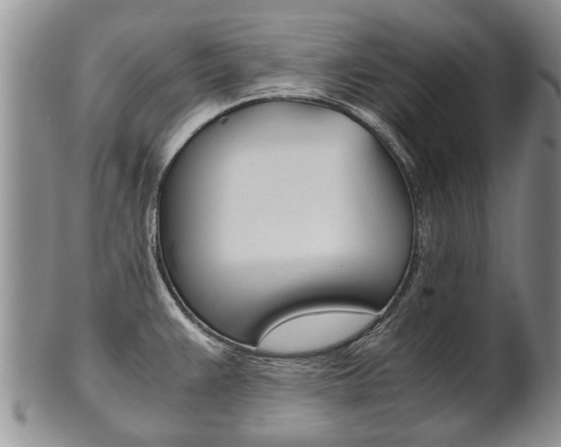 X0000102511383200808080957