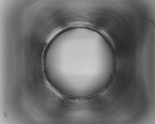 X0000102511384200808080957