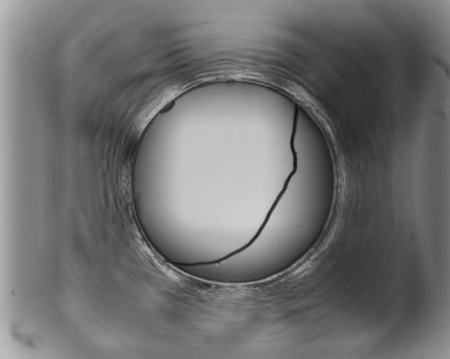 X0000102511385200808080957