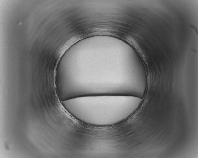 X0000102511386200808080957