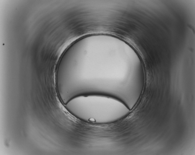 X0000102511388200808080957