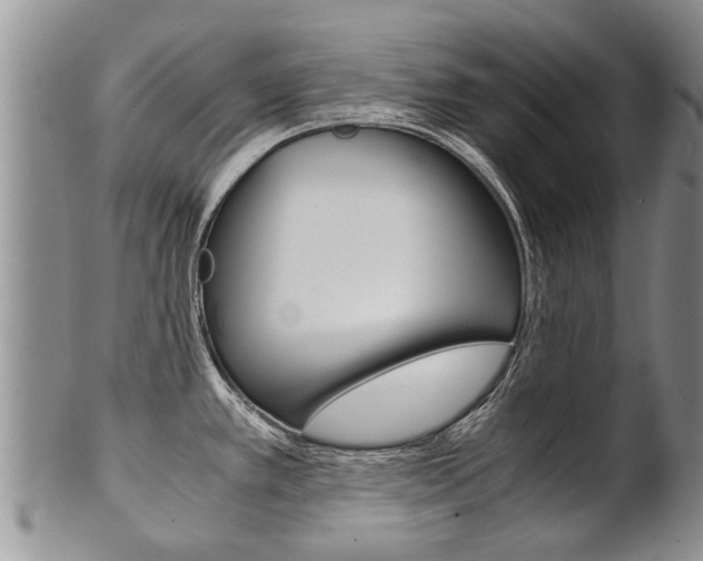 X0000102511389200808080957
