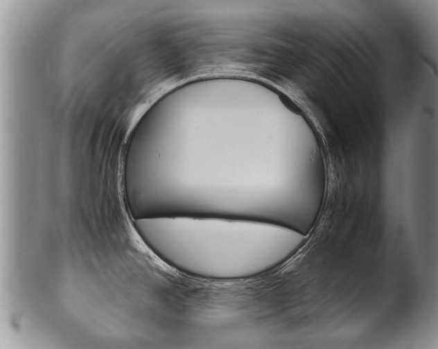 X0000102511390200808080957