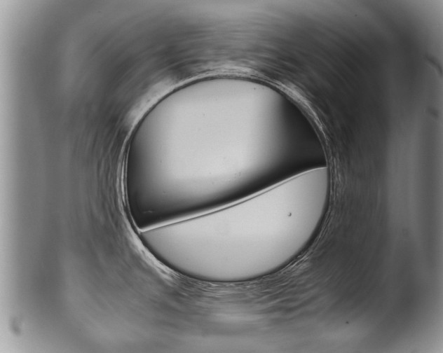 X0000102511391200808080957