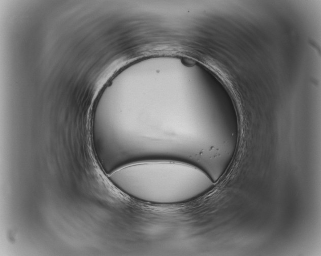 X0000102511392200808080957