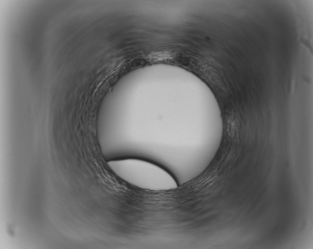X0000102511393200808080956