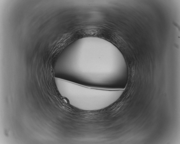 X0000102511394200808080956