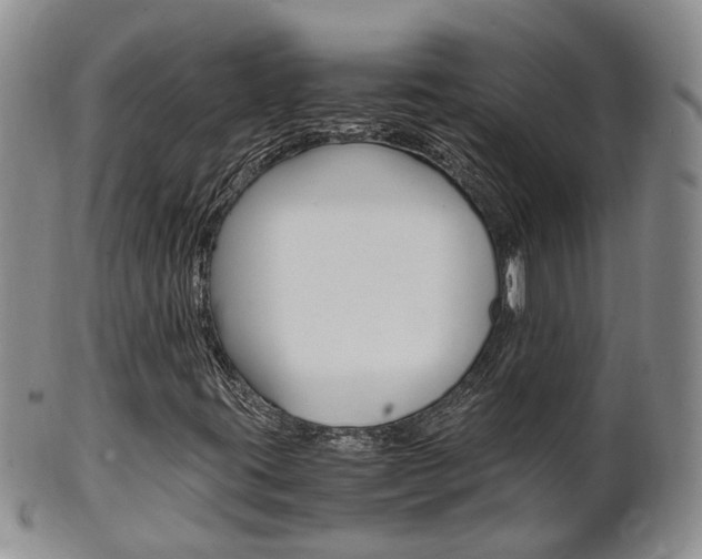 X0000102511395200808080956