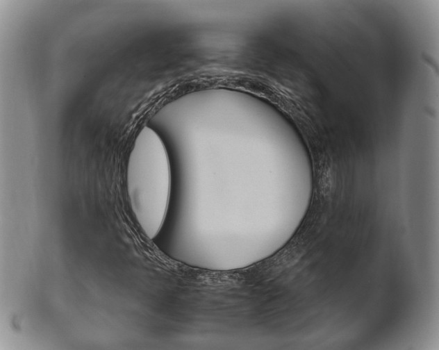 X0000102511397200808080956