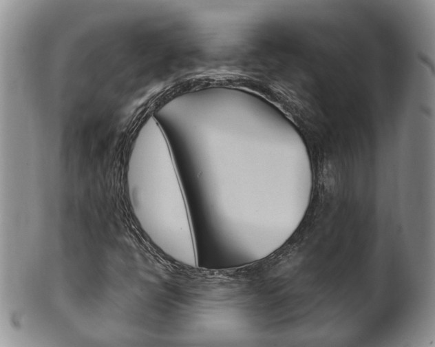 X0000102511398200808080956