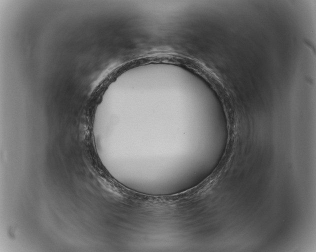 X0000102511400200808080956