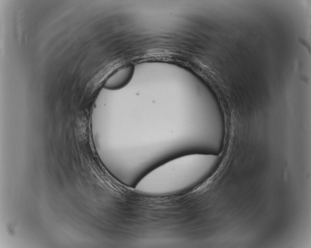 X0000102511401200808080956