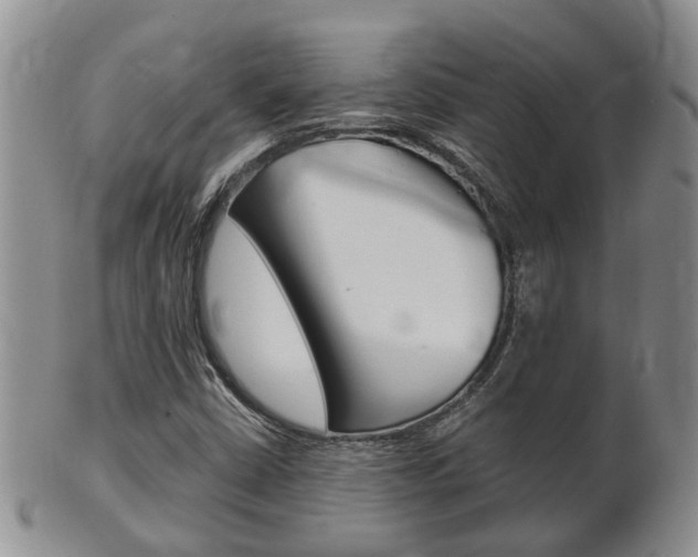 X0000102511402200808080956