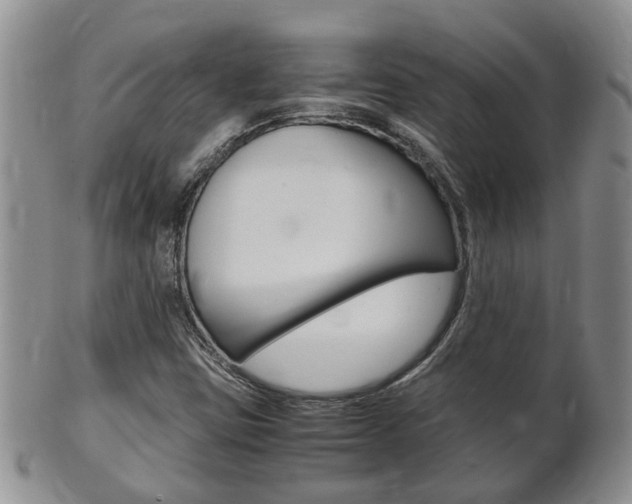 X0000102511403200808080956