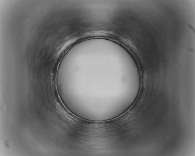 X0000102511404200808080956