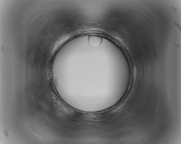 X0000102511405200808080956