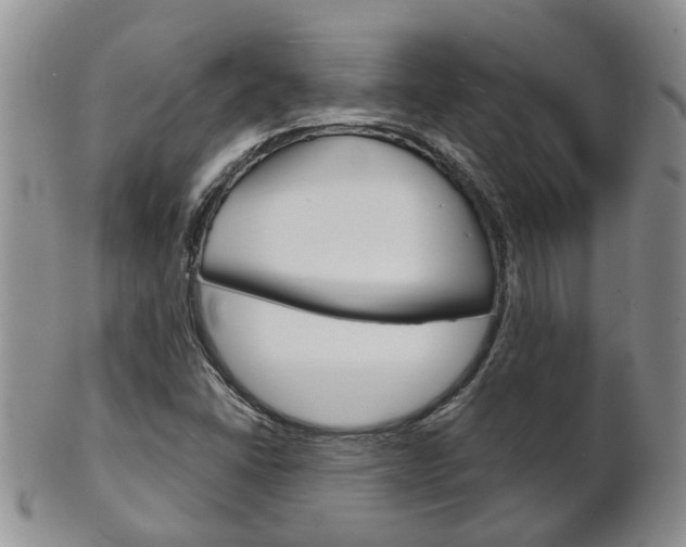 X0000102511406200808080956