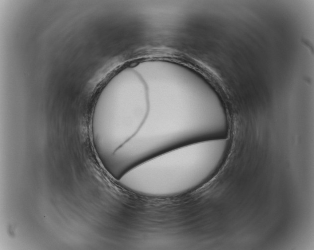 X0000102511407200808080956