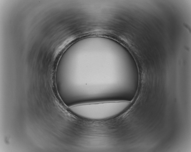 X0000102511410200808080957