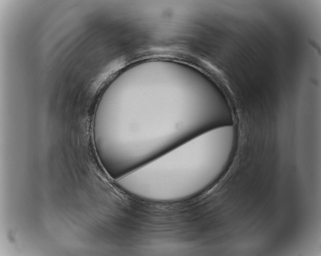 X0000102511411200808080957