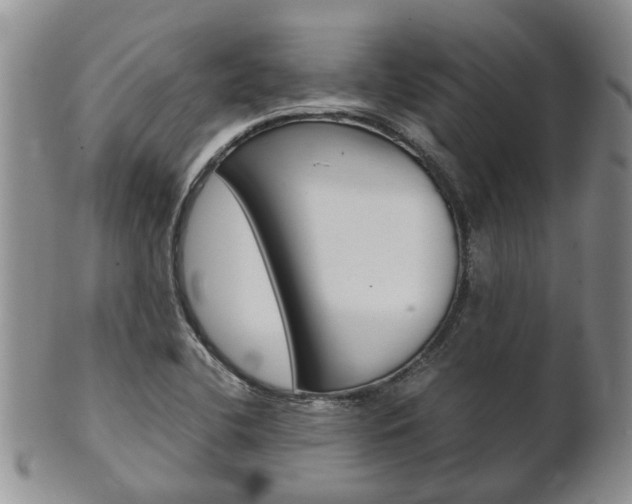 X0000102511412200808080957