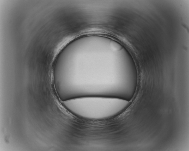 X0000102511413200808080957