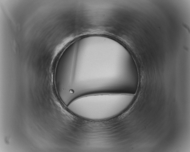 X0000102511414200808080957