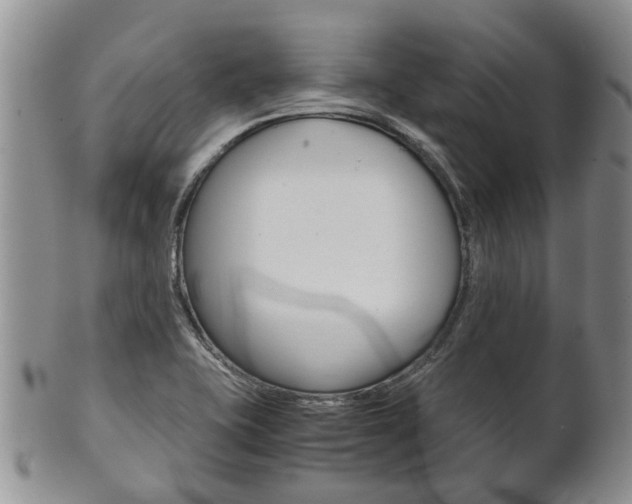 X0000102511415200808080957