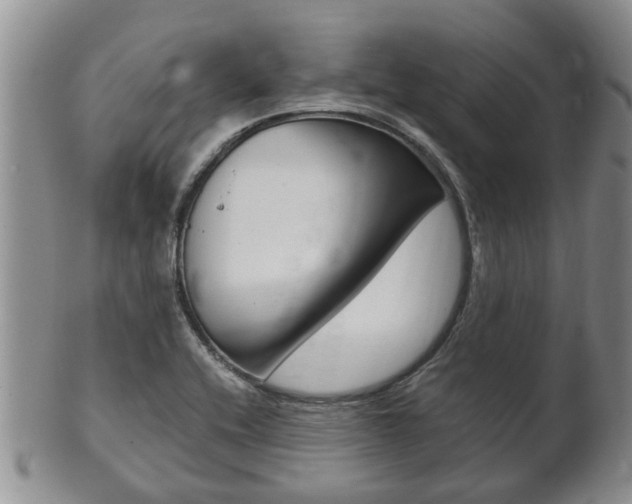 X0000102511416200808080957