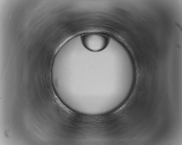X0000102511417200808080957
