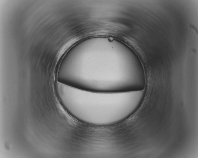 X0000102511418200808080957