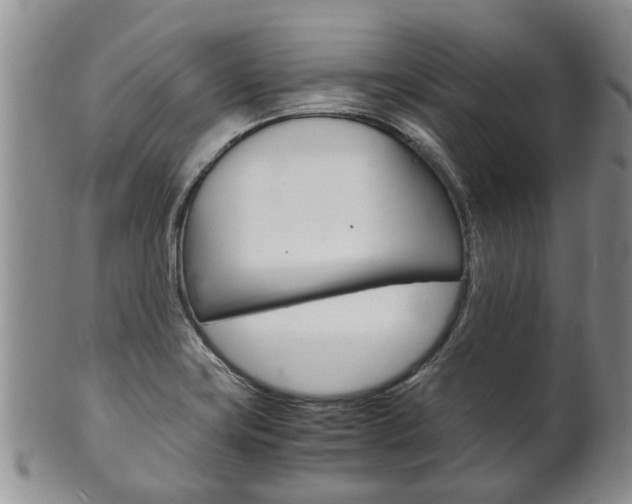 X0000102511419200808080957