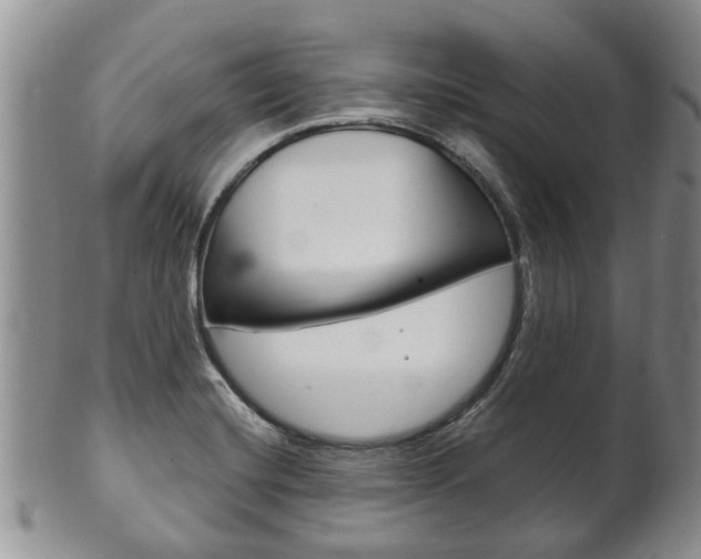 X0000102511420200808080957