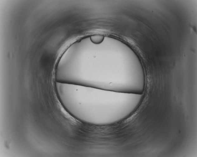 X0000102511421200808080957