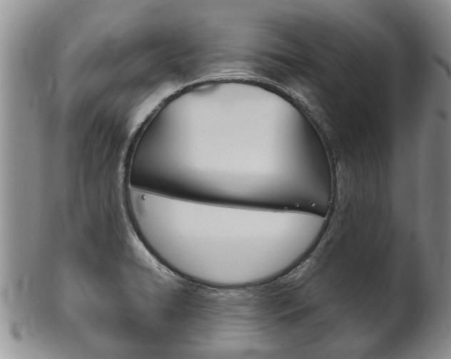 X0000102511422200808080957