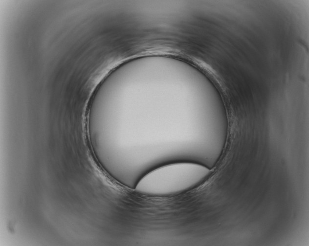 X0000102511423200808080957
