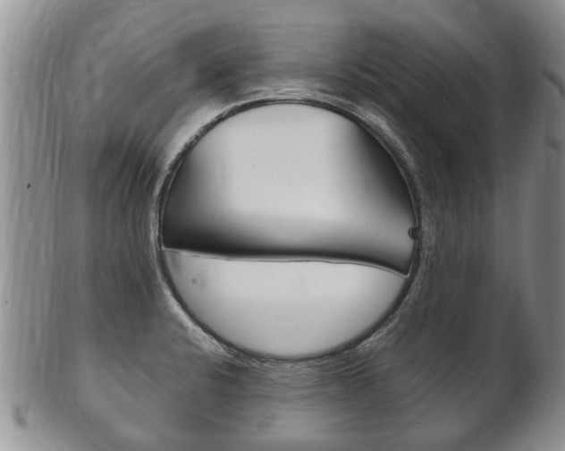 X0000102511424200808080957